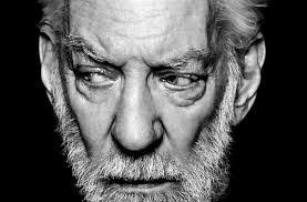 Robert Chalkley's Instagram, Twitter & Facebook