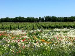 For fulfilling all your flower needs, flower station is the best option to choose. Hudson Valley New York Cork Report New York Wine