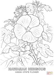 Make a fun coloring book out of family photos wi. Hawaii State Flower Coloring Page Free Printable Coloring Pages Coloring Home