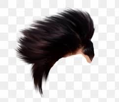Picsart Photo Studio Hair Wig Png 554x712px Picsart Photo Studio Brush Editing Hair Hairstyle Download Free Moustache computer icons font, mustache png. picsart photo studio hair wig png