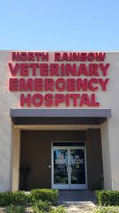 veterinary emergency critical care