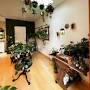 Profile Picture of Nightshade Botanicals - Intentionalist (@intentionalist.com) on Google
