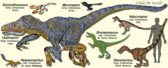 Raptor series action figures kickstarter by david silva. Category Raptors Dinosaur Wiki Fandom