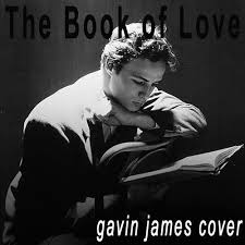 The book of love is long and boring no one can live the damn thing it's full of charts and facts and figures and instructions for dancing. The Book Of Love Gavin James Cover By Sjm