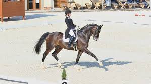 Mit ihrer ausstrahlung, ihrem lächeln und ihrem temperament begeisterte libuse safrankova die zuschauer. Mistrovsky Titul V Drezure Si V Kralovicich Vyjela Mencke Aktualne Cz