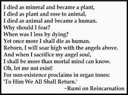 Maulana Rumi Online 400 Rumi Quotes Rumi Quotes Rumi Life Quotes