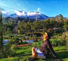 Tirto gumarang adalah sebuah wana wisata baru di magetan dengan konsep resort, rest area, thema park. Tirto Gumarang Posts Facebook