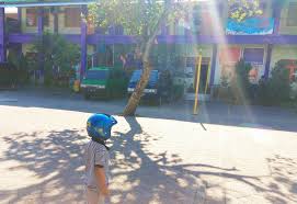 Maybe you would like to learn more about one of these? Survey Biaya Sd Di Sidoarjo Dan Surabaya