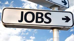 The latest white-collar job in town — Opinion — The Guardian Nigeria News – Nigeria and World News