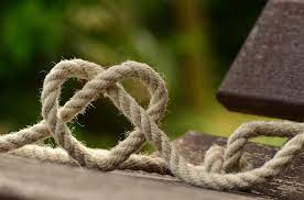 However, meanings are associated not only with roses but also with other flowers. Symbols Of Love And Their Meanings Regain
