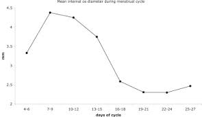 The Structure And Function Of The Cervix During Pregnancy