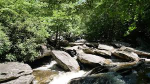The tanawha trail intersects the daniel boone scout trail (0.7mi) and the grandfather trail (0.5mi) where hiking permits are required. Boone Fork Trail The Art Of The Hike