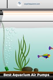 Advice From Our Experts On Picking The Best Aquarium Air Pumps For You Fish Tank Or Aquarium Aquarium Air Pump Air Pump Aquarium