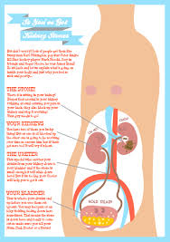 Pin By Amy Schaetzlein On Worst Day Everx2 Thanks Kidney Stone Nursing Fun Healthcare Infographics Medical Knowledge