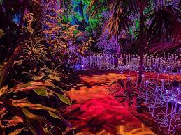 The Nightgarden Light Show Fairchild Tropical Botanic Garden Fairchild Tropical Botanic Garden Light Show Isle Of Capri