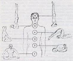 7 Basic Asanas Associated With Seven Chakras Certain Asanas Pranayama R Connected With Certain Internal Organ Basic Yoga Beginning Yoga Chakra Healing Music