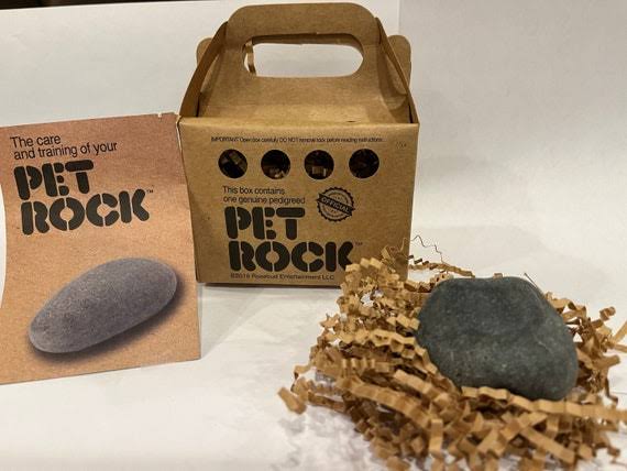 Pet Rock Original - Etsy Canada