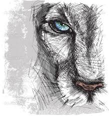 Depositphotos 23419878 Hand Drawn Sketch Of A Lion Looking Intently At The Camera Jpg 966 1024 How To Draw Hands Art Lion Sketch