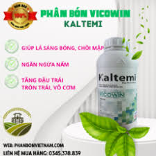 Vieteam 42SC