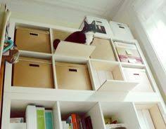 Ikea Expedit Kallax Mobel Zum Klettern Fur Katzen Hack Catwalk Katzen Wohnungen Katzen Catwalk Katzen