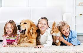 Signs that your pet is suffering from fleas include persistent itching and/or biting. Is Pest Control Safe For My Children And Pets Bain Pest Control Service