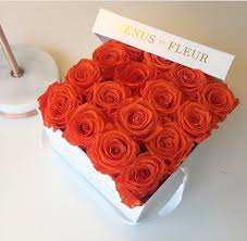 Check spelling or type a new query. Venus Et Fleur On Twitter Prettiest Fall Roses Shop Our New Fall Collection At Https T Co Xpsghqsm4q Roses Blooms Nyc