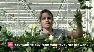 Maybe you would like to learn more about one of these? G Fresh English Flower Export Holland Youtube