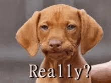 Browse latest funny, amazing,cool, lol, cute,reaction gifs and animated pictures! Fat Dog Gif Animated Don T Be Calling Me Fat Dog Catgifs National Geographic Has Produced An Animated Gif Showing The Striking Retreat Of Arctic Ice That Has Jae Seidl
