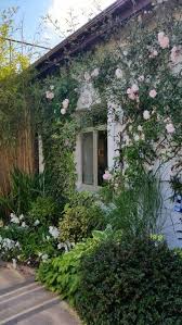 Milford Care Centre S Therapeutic Garden Limerick Ireland Magical Garden Courtyard Garden Garden Design