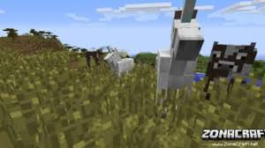 With the ultimate unicorn mod minecraft, you will also be able to tame destrier, nightmare, and pegasus. The Ultimate Unicorn Mod Para Minecraft 1 12 2 1 11 1 10 2 1 9 4 1 8 9 1 7 10 Zonacraft