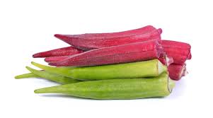 Check spelling or type a new query. Okra Companion Plants Kellogg Garden Organics