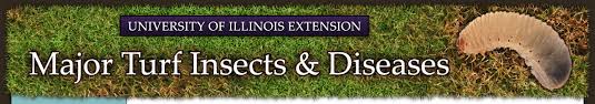 Managing Turfgrass Diseases Major Turf Insects Diseases
