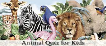 Zoe samuel 6 min quiz sewing is one of those skills that is deemed to be very. Animal Quiz With Answers And Short Animal Riddles For Kids