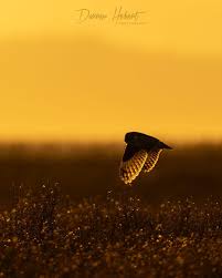 Darren Hebert (@darren_w_hebert) • Instagram photos and videos