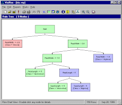 visirex flow chart