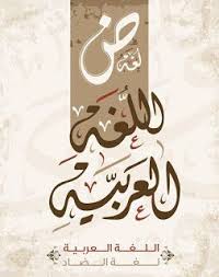 صور بمناسبة إحياء اليوم العالمي للغة العربية 18 ديسمبر novelty sign language day