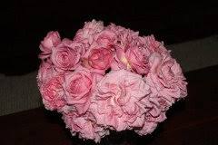 Plant colorful lilies that bloom in early summer, and sow annuals like zinnias, for beautiful blooms every week in summer. Good Filler Flowers For Rose Bouquets Hot Humid Fl