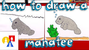 State freshwater fish largemouth bass. How To Draw A Cartoon Manatee Youtube