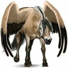 Image result for howrse rare apple coats