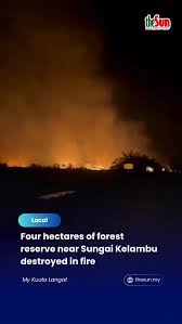 About four hectares of forest reserve ...