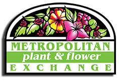 10 Verified Metroplantexchange Com Black Friday Coupon Coupon Code Nov 2020