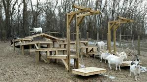 jeux pour chevres terrain de jeux en palette pour chevres goats of anarchy sur instagram how can you tell if goats are hap terrain de jeux animaux chevre