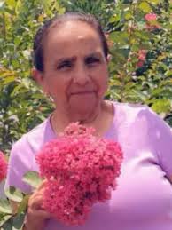 Enriqueta Cortes De Sanchez Obituary (2024)