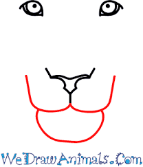 How to draw a lion face step by step for beginners | easy and simple drawing How To Draw A Lion Face