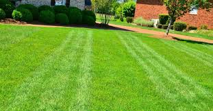 Instantly renew and level out your lawn by laying sod. 8 Best Lawn Leveling Rakes In 2021 Reviews Leveling Guide