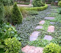 Simply pinch it back to control its growth. Top 10 Ground Cover Plants For Your Aussie Garden Houzz Au