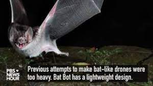 Onrobot hex sensor is also perfect for surface finishing! A Bat Bot Takes Flight Pbs Newshour