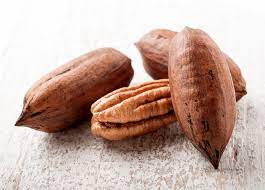 Pecan pollination is not as simple as every type1 fits every type2 and vise versa. Mahan Pecan Tree Nut Trees Ison S Nursery Vineyard