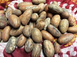 Image result for facts about kola nut
