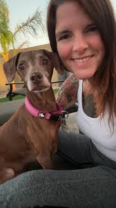 Hey I'm Ashley! I'm a local, in your home, pet sitter! I have over 15 years  of experience, I'm pet CPR certified, insured and have several references.  I'm booking up quickly for